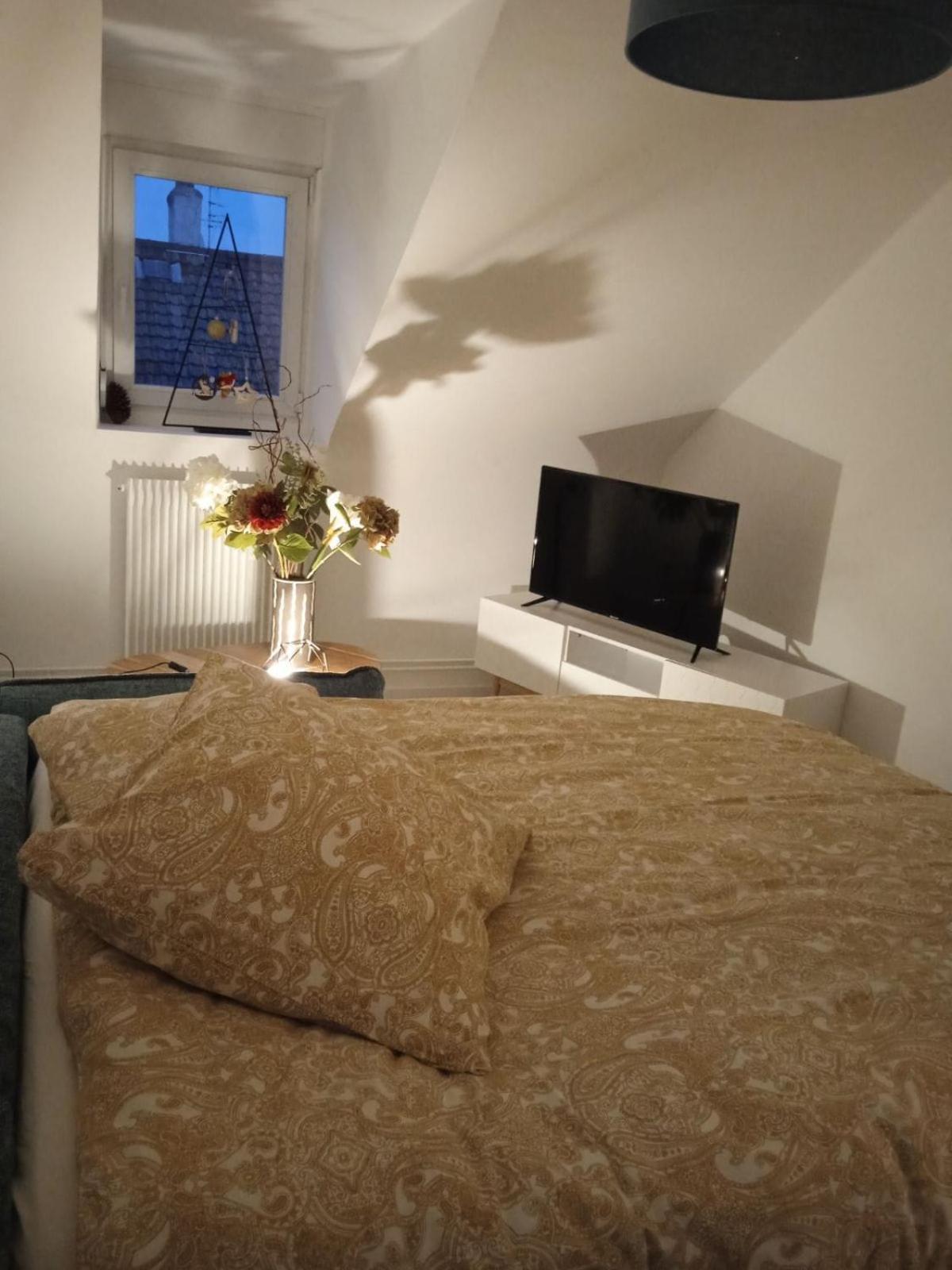 Appartement La Mulhousienne F3 Centre