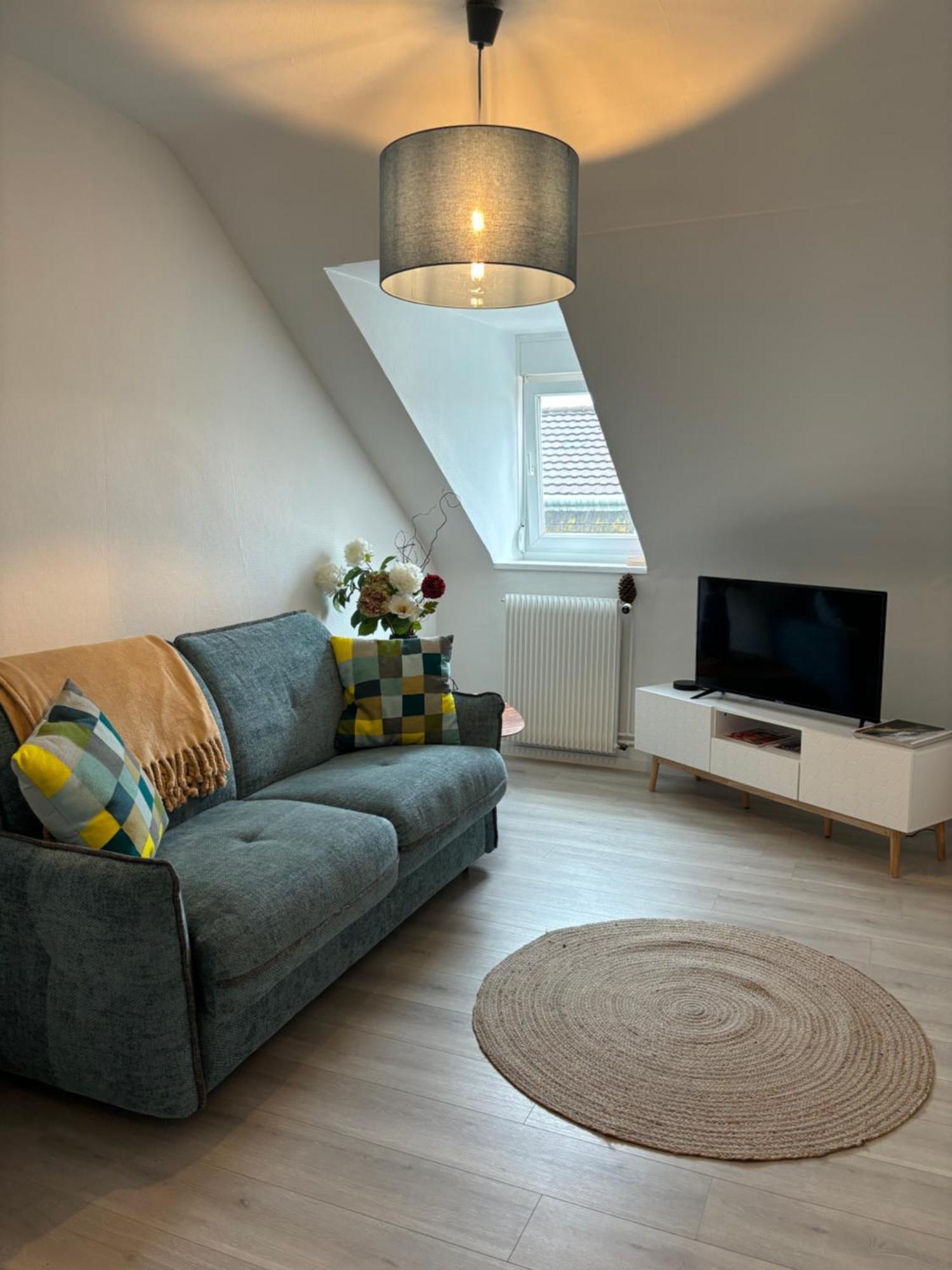 Appartement La Mulhousienne F3 Centre Mulhouse