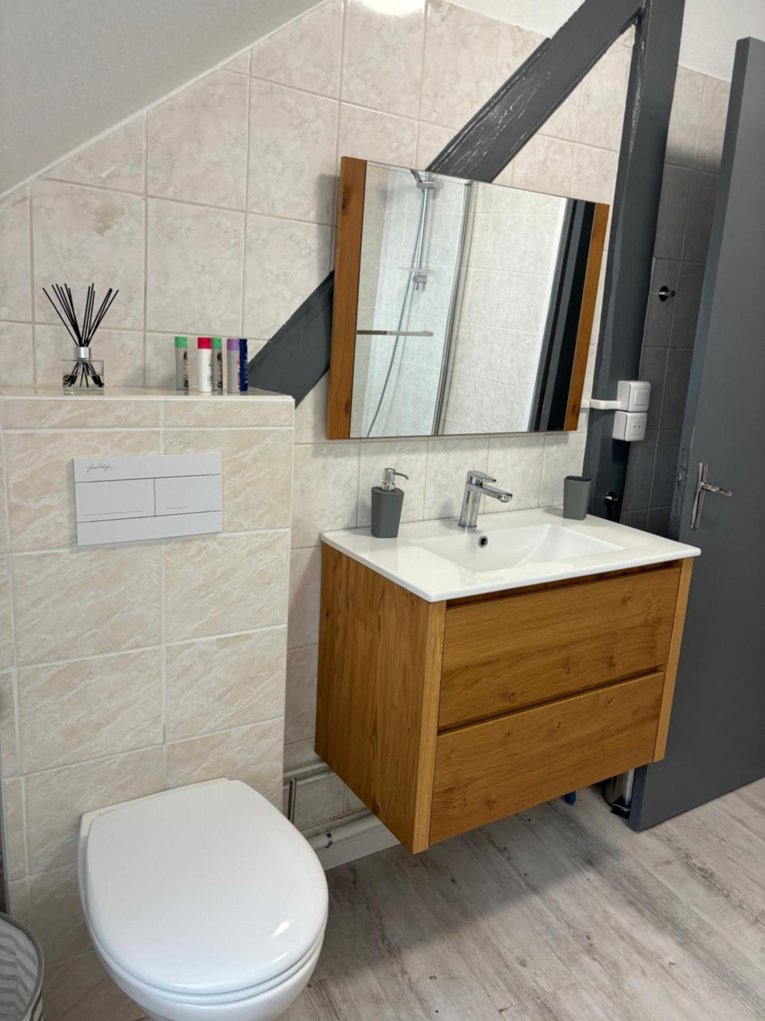La Mulhousienne F3 Centre Appartement *